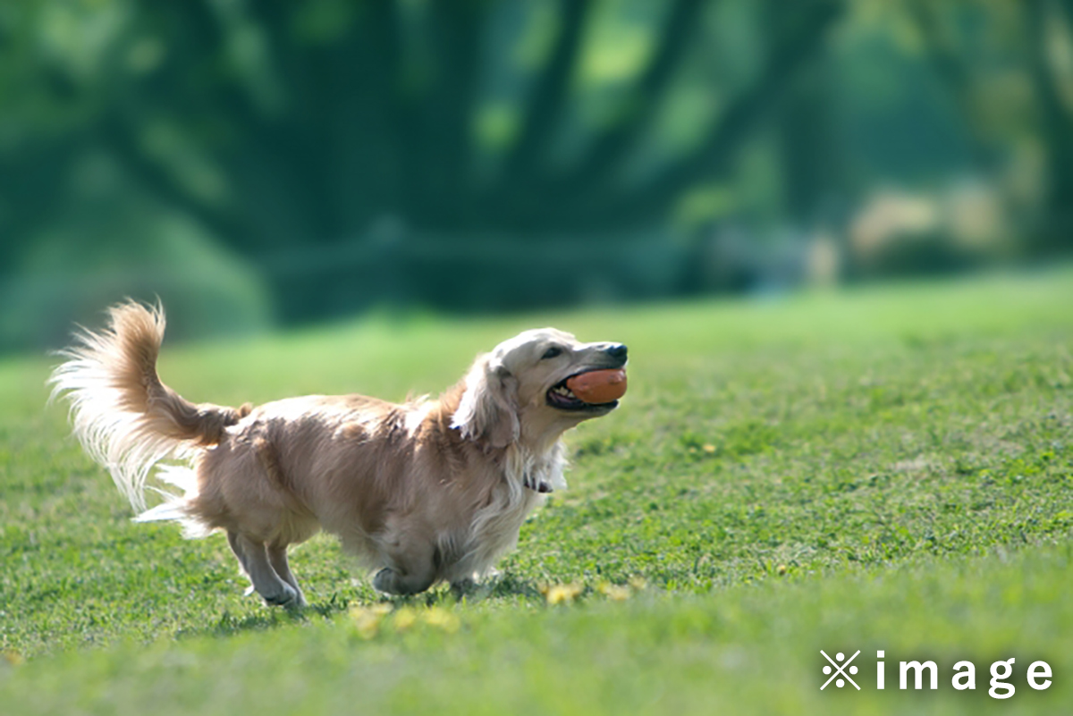 周辺PARKイメージ01