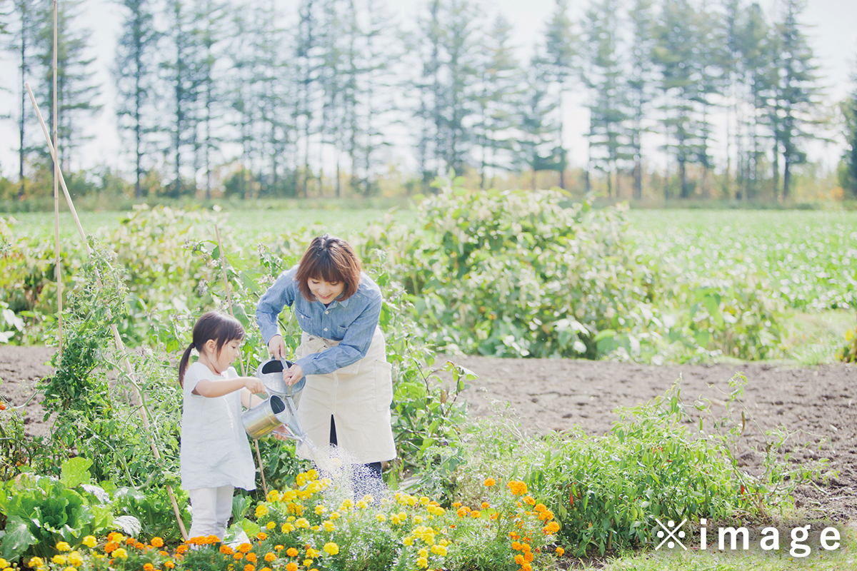 周辺PARKイメージ02