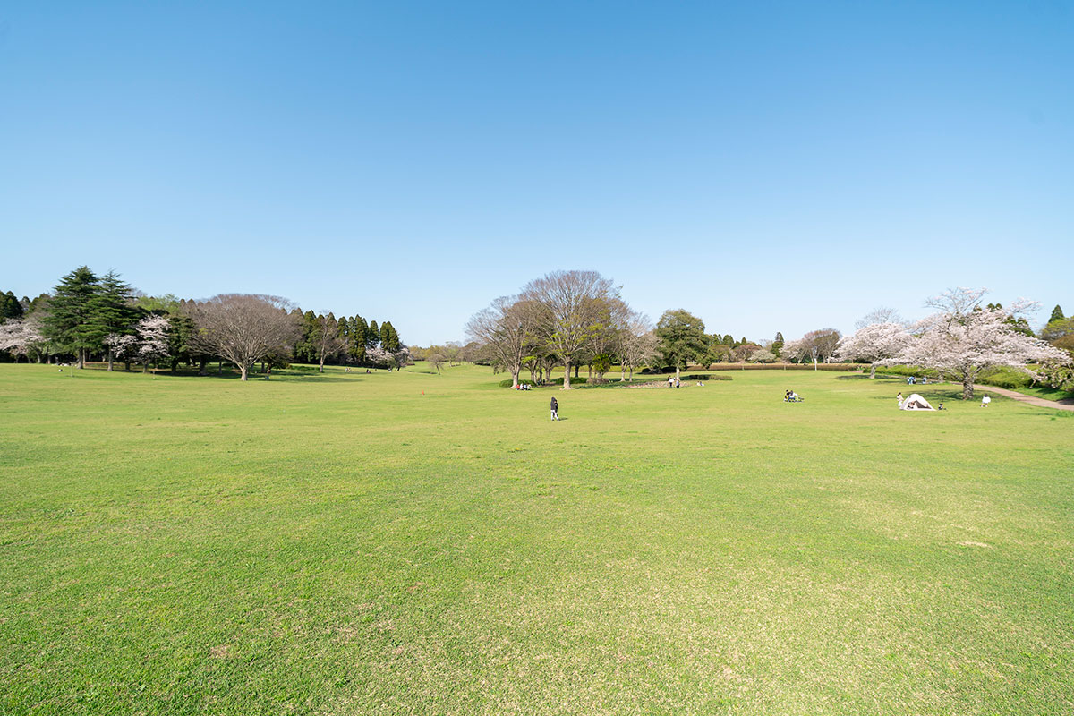 周辺PARKイメージ01